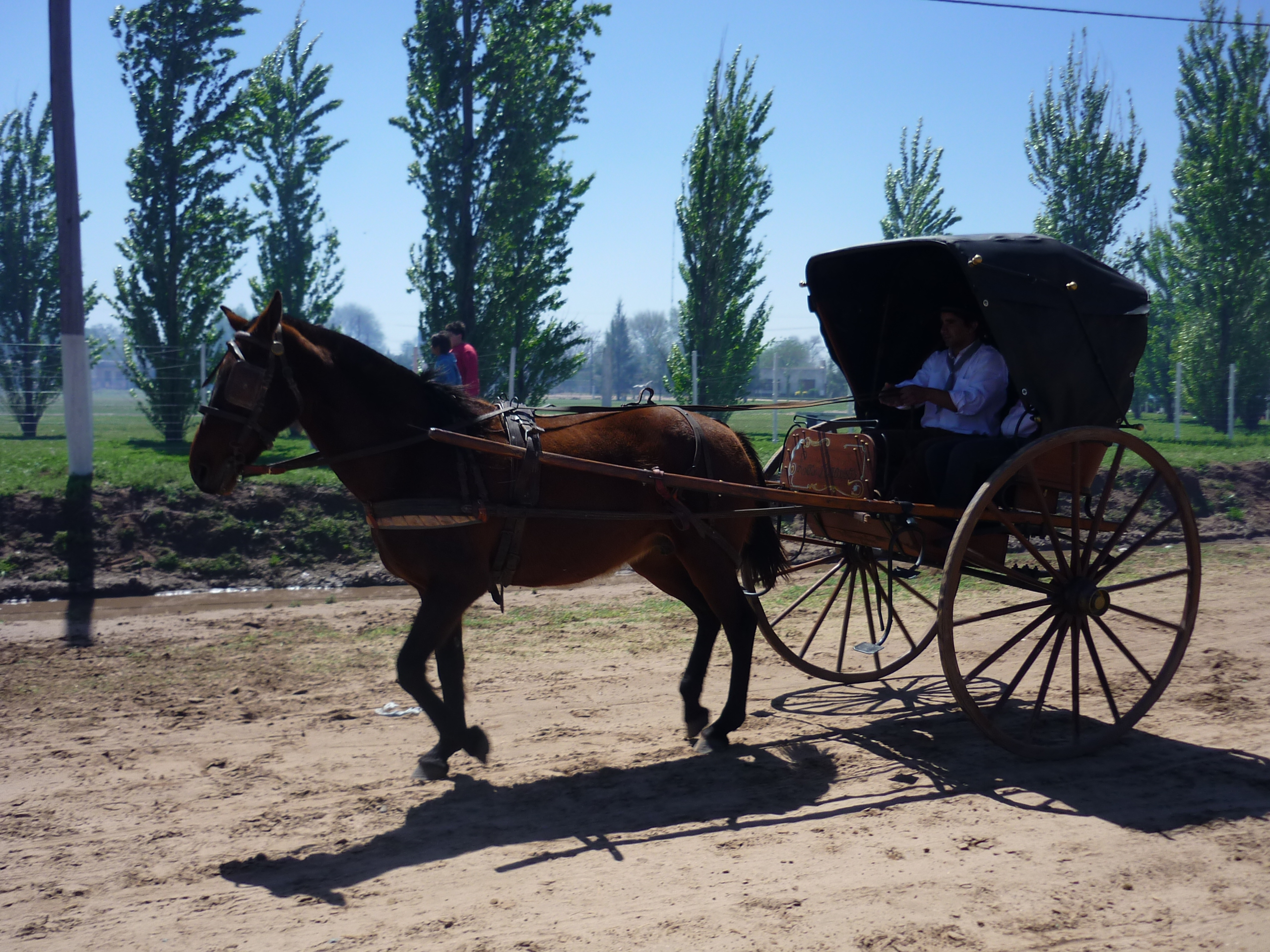 fotos/2009-10-11 - Fiesta del Cordero/P1000415.JPG